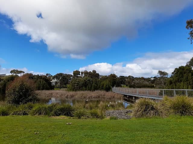 Seagrove Way Wetland Area - Image 1