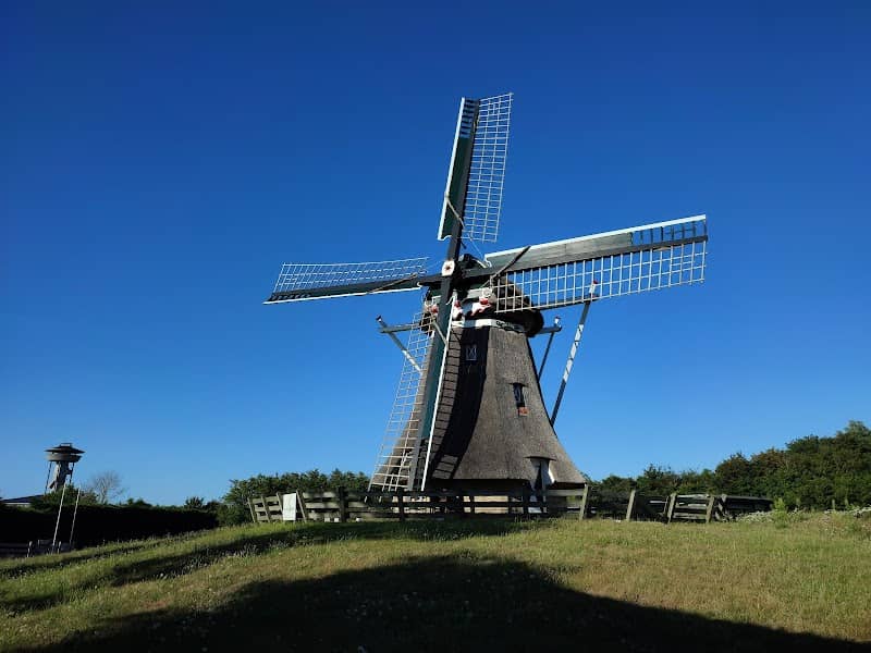 De Phenix, Nes - Image 1