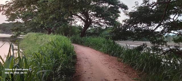 Bulagala wawa බුලාගල වැව - Image 1