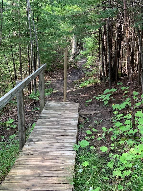 Hemlock Trail - Image 1