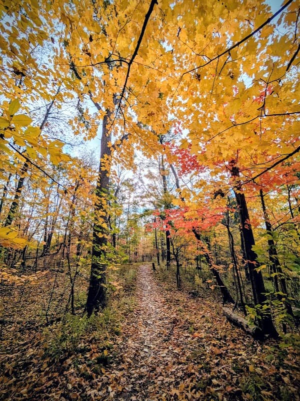 Peart Park - Image 1