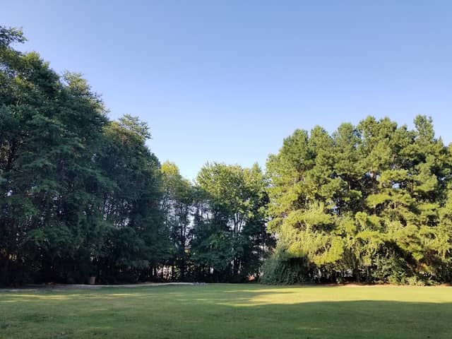 Jetton Road Neighborhood Park - Image 1