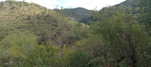Playa pareja escondida - Image 2