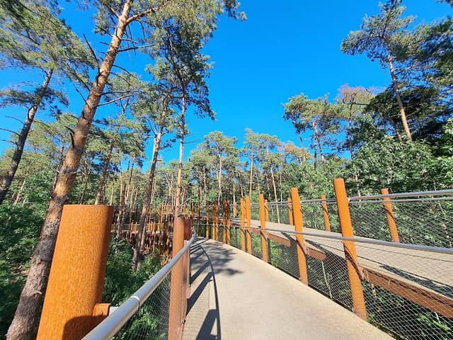 Nationaal Park Bosland - Image 1