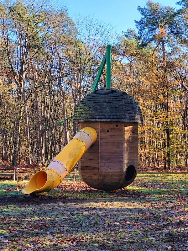 Nationaal Park Bosland - Image 3