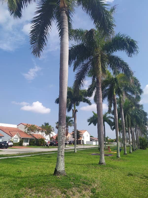 Linear Park - Image 3