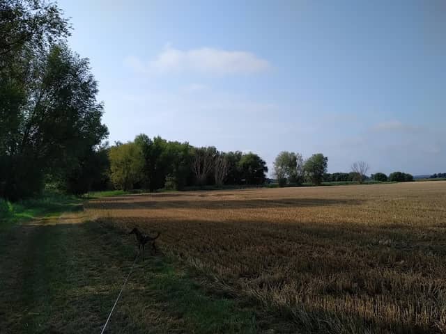 Lusike Natur Park - Image 1