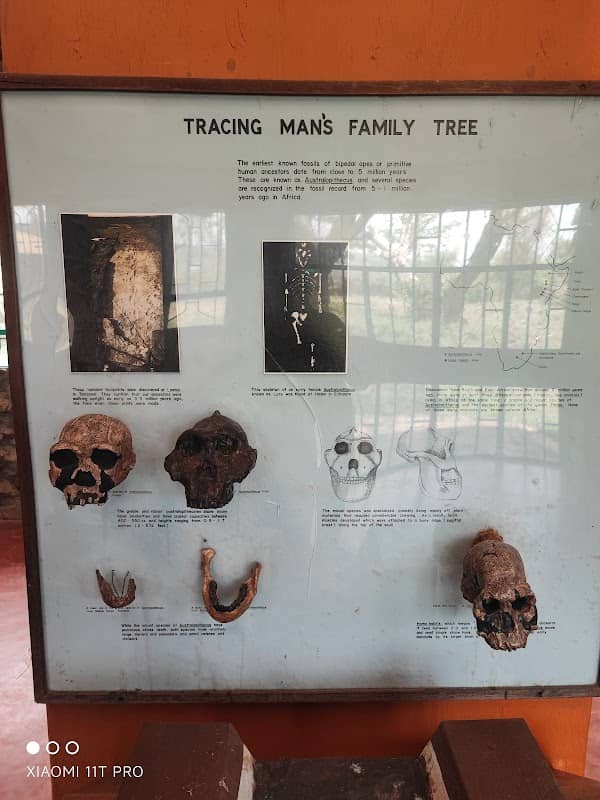 Kariandusi Museum - Image 2