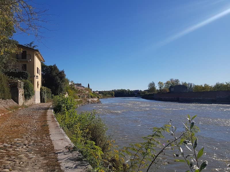 Alzaia - Image 1