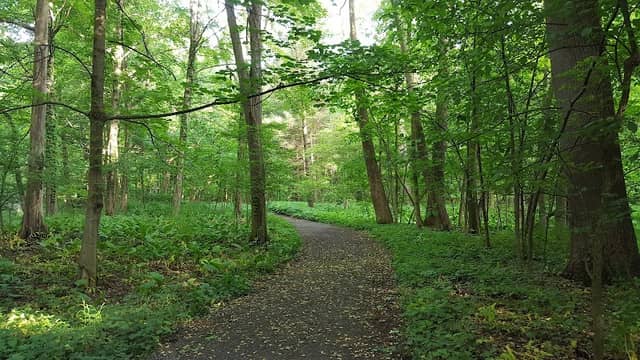 Mauthe Bridge - Image 2