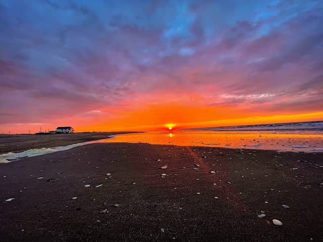 Holly Beach - Image 2