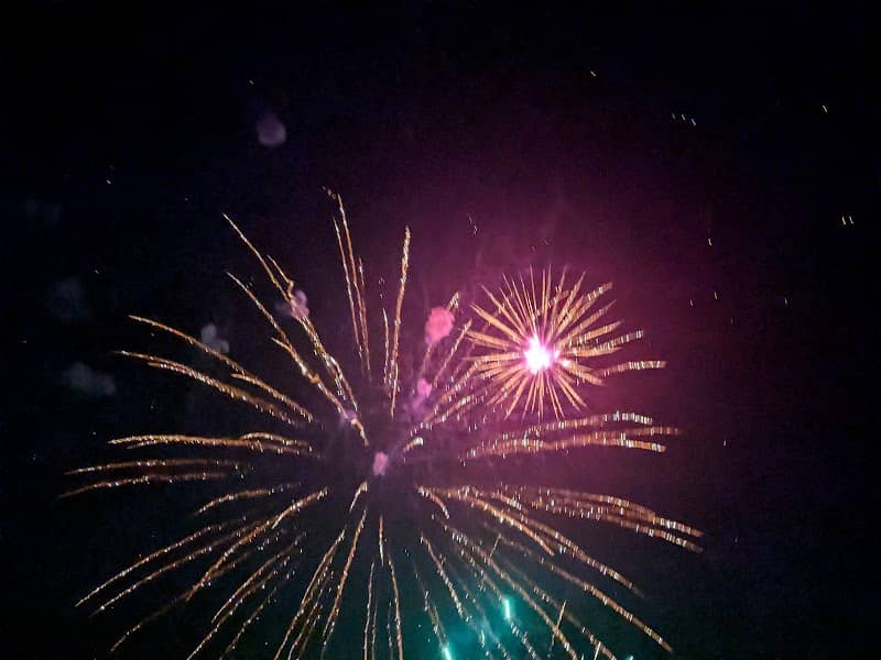 Myrtle Creek Summer Festival - Image 2