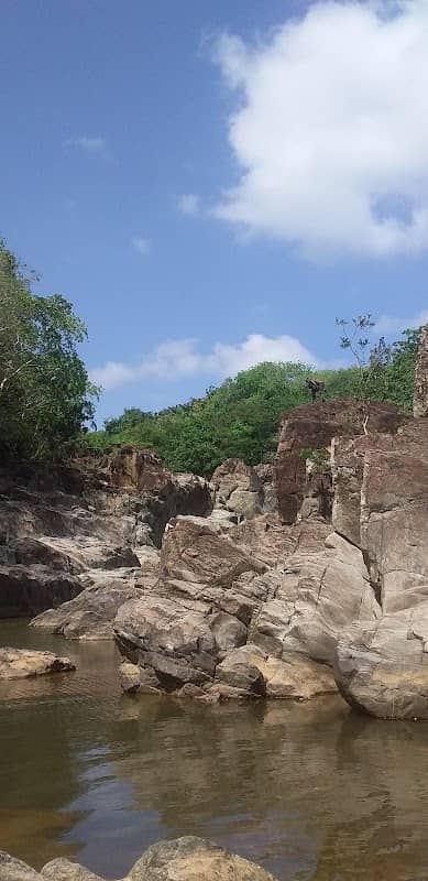Aventura Naiboa Higuero - Image 1