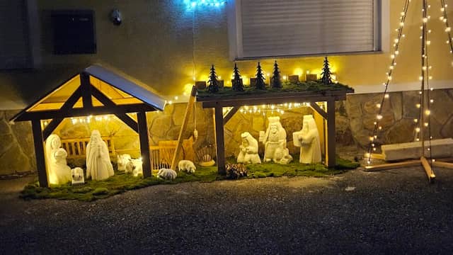 Bele jaslice - Image 1