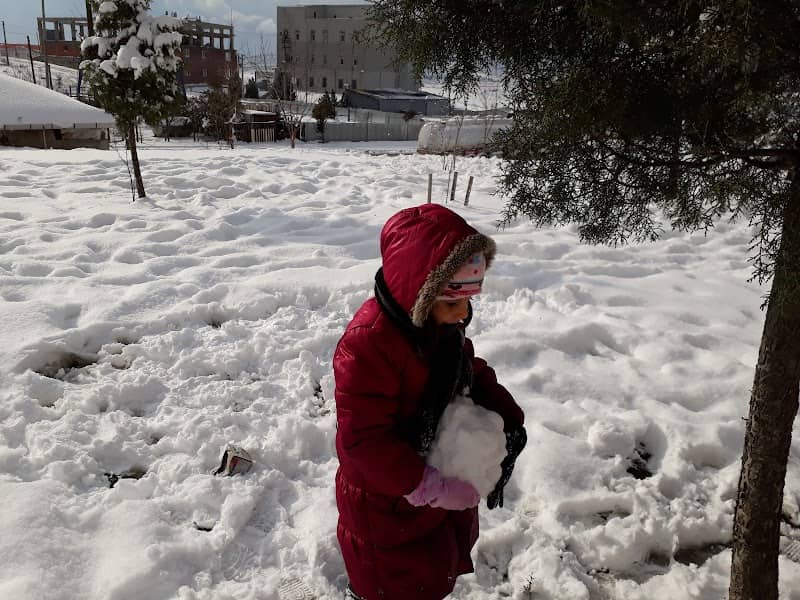 Child park - Image 1