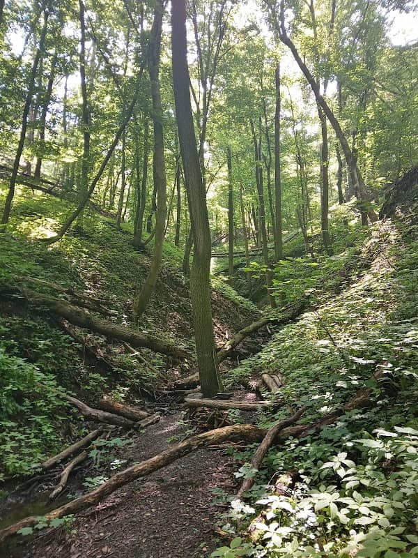 Komořanské údolí - Image 2