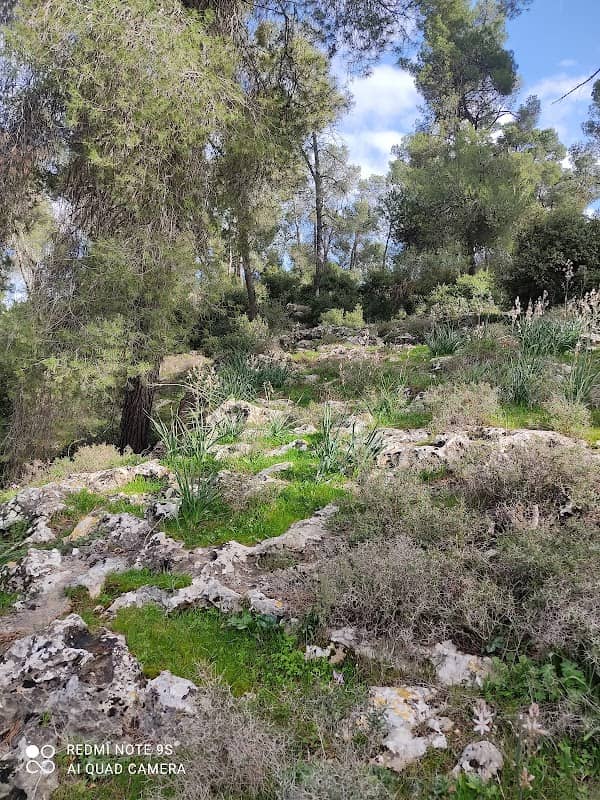 محمية وادي القف - Image 1