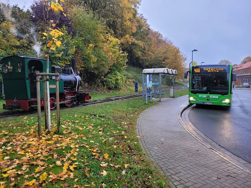 Tagesförderbahn Bahnsteig - Image 1