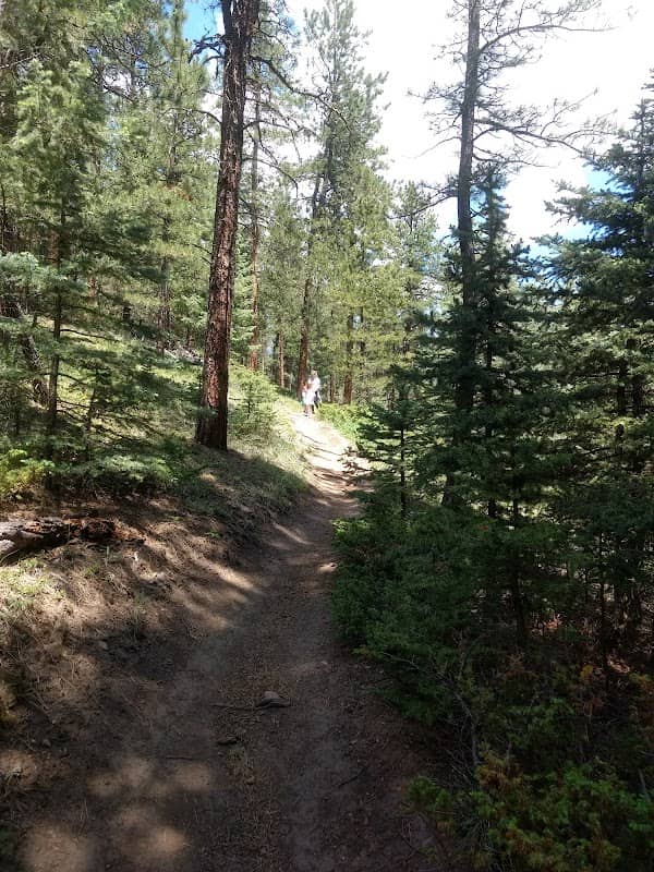 Colorado Trail Segment 4 - Image 2