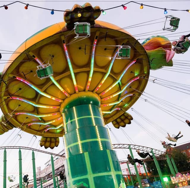 Spinning Turtle Ride - Image 2