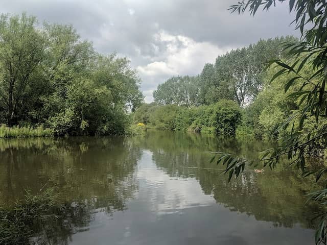 Anker Wood - Image 1