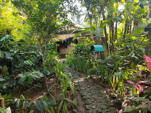 Taman Ayu Sari Luwak Coffee - Image 2