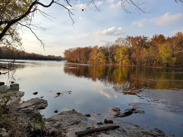 Shannondale Springs Wildlife Management Area West - Image 2
