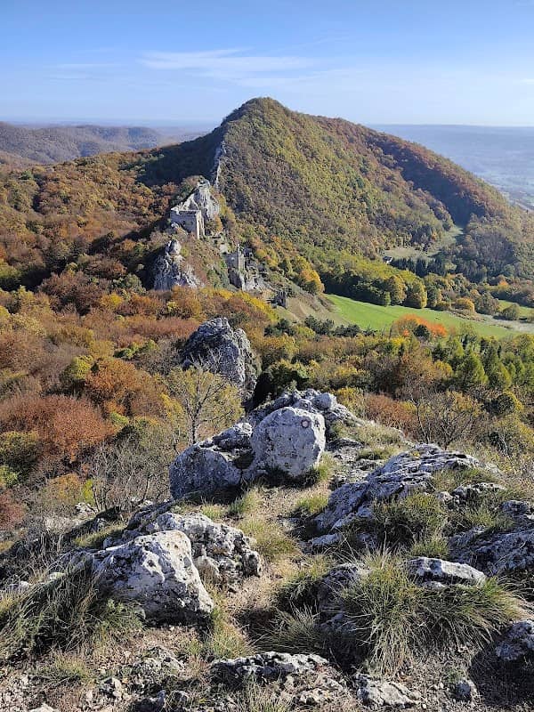 3. zub - Image 1