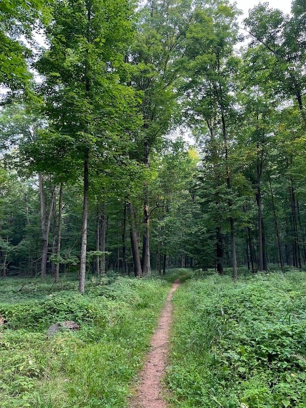 Big Eau Pleine Park Trail Head - Image 1