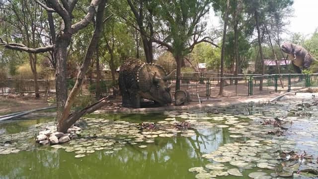 Indroda Nature Park fossil park dinosaur park and zoo Gandhinagar - Image 1