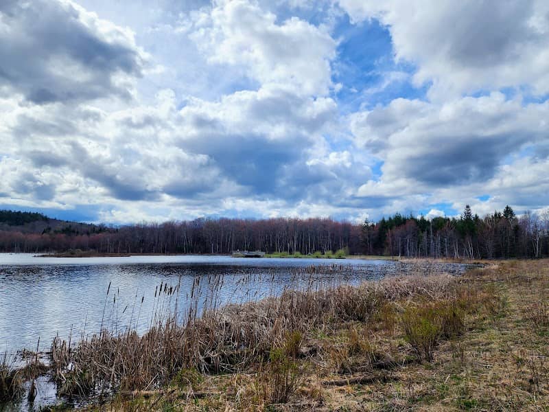 Burnt-Rossman Hills State Forest - Image 2
