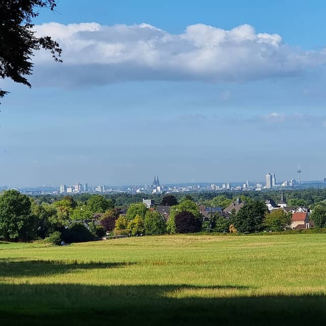 Window to cologne - Image 1