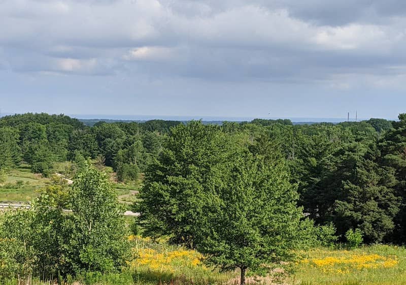 Orchard Hills Park - Image 1