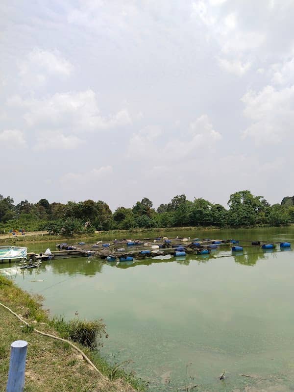 Tambak Ikan Pematang Jering - Image 1