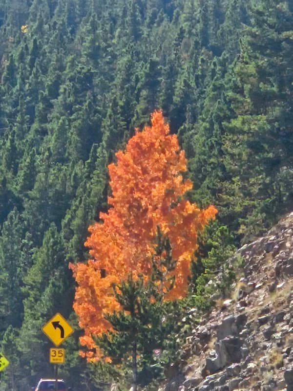 Peak to Peak Scenic Byway: Black Hawk Entrance - Image 1