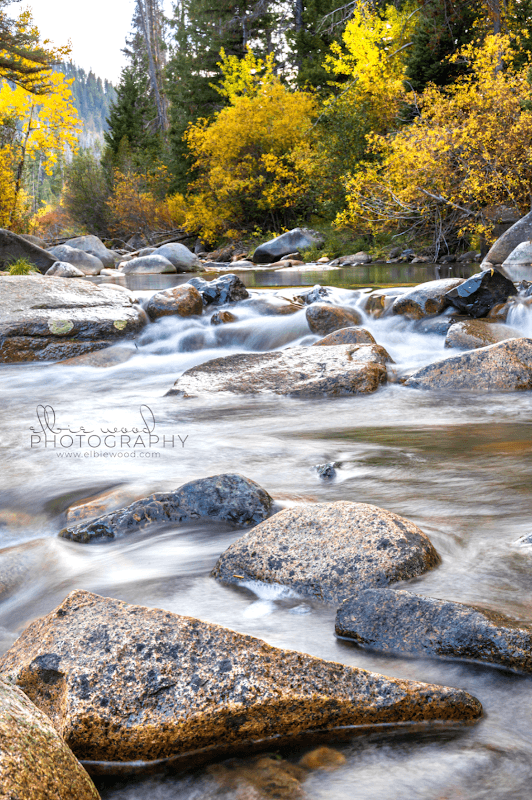 Ten Mile Creek Environmental Trail - Image 1