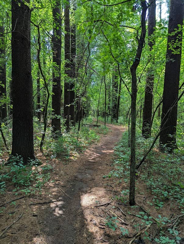 Sterne's Woods & Fen - Image 1