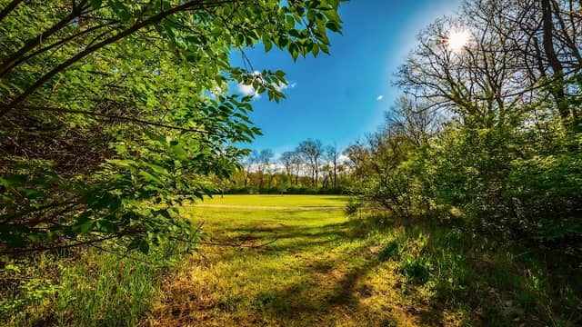 Foristell City Park - Image 1
