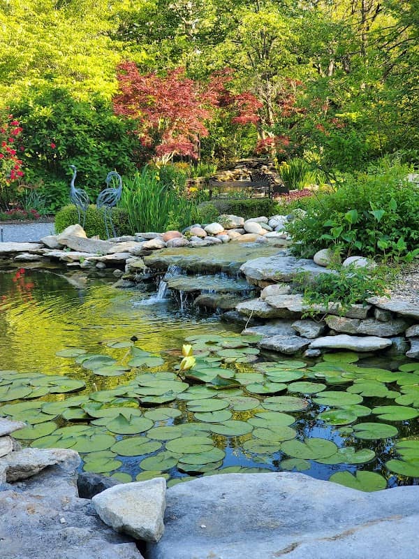 Websters Garden - Image 1