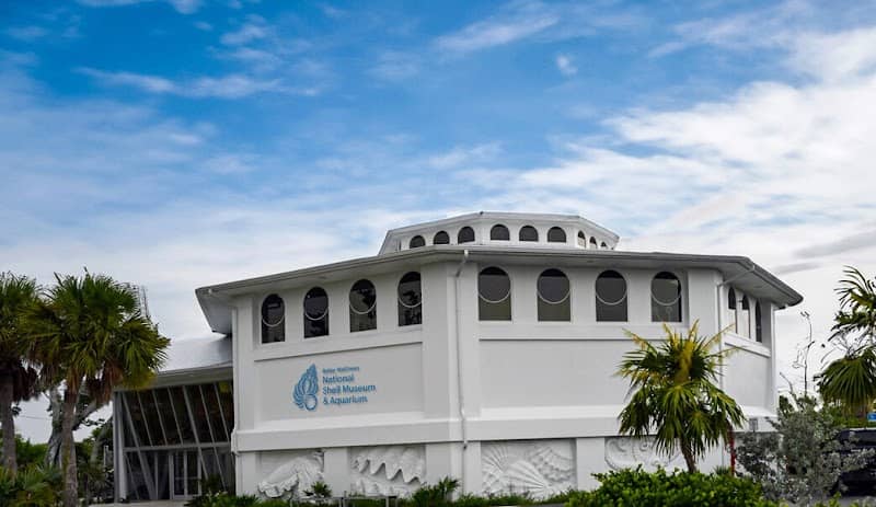 Bailey-Matthews National Shell Museum & Aquarium - Image 1