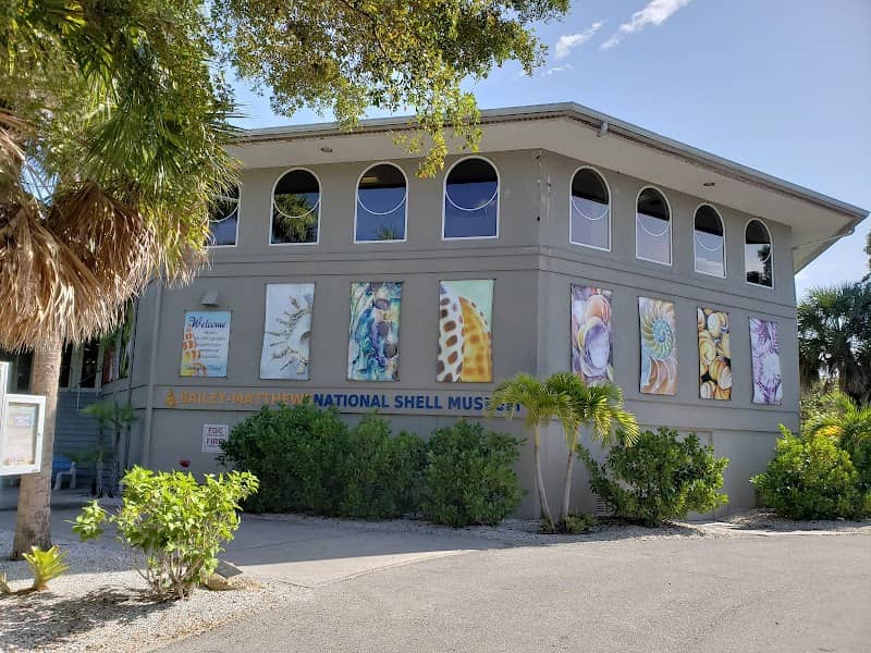 Bailey-Matthews National Shell Museum & Aquarium - Image 2