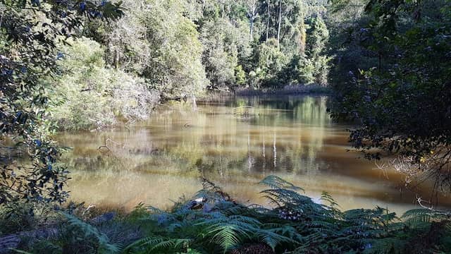 Watermans Walk, Katandra Picnic Area - Image 1