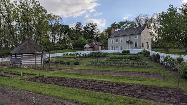 Burnside Plantation - Image 2