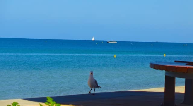 Plage de L’anse vata - Image 1