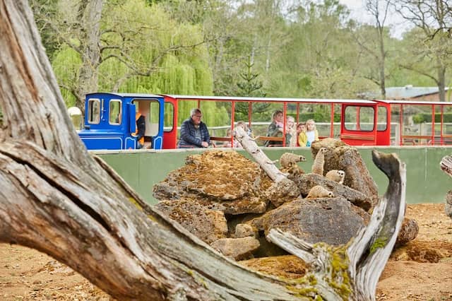 Beale Wildlife Park - Image 1