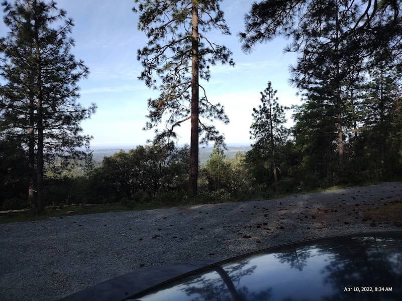 Mount Zion Demonstration State Forest - Image 1