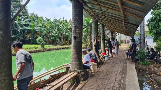 Pemancingan Lele Niman Tueng - Image 3