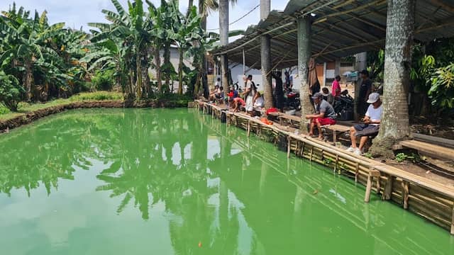 Pemancingan Lele Niman Tueng - Image 2