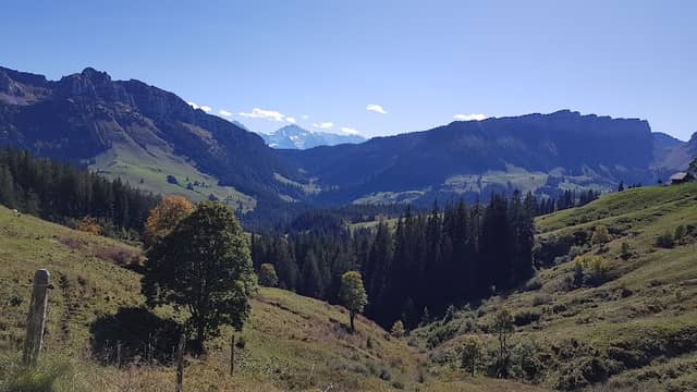 Honegg - Image 1