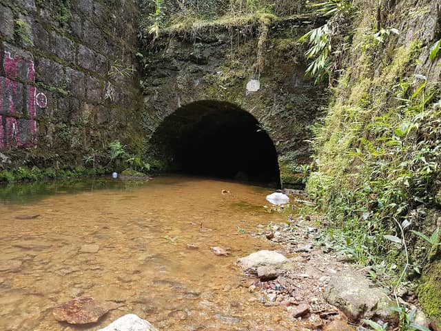 Reserva Biológica do Alto da Serra de Paranapiacaba - Image 1